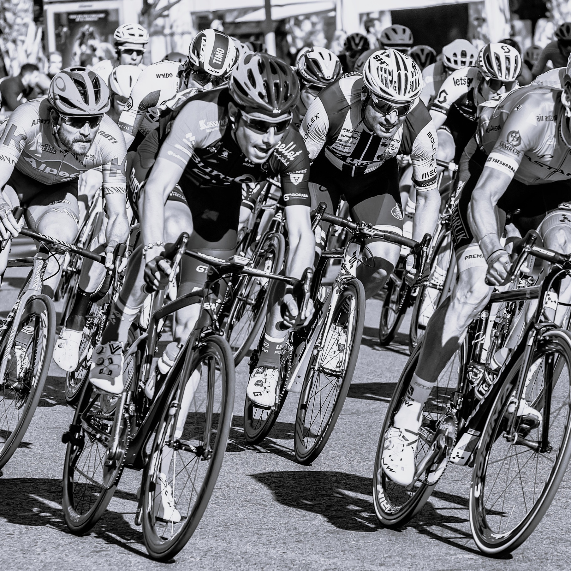 Bici
